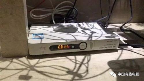 有线电视在线观看,尽在有线电视在线观看新体验