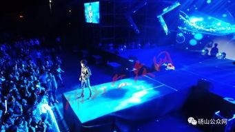 演唱会爆料现场视频,精彩瞬间与幕后花絮大曝光